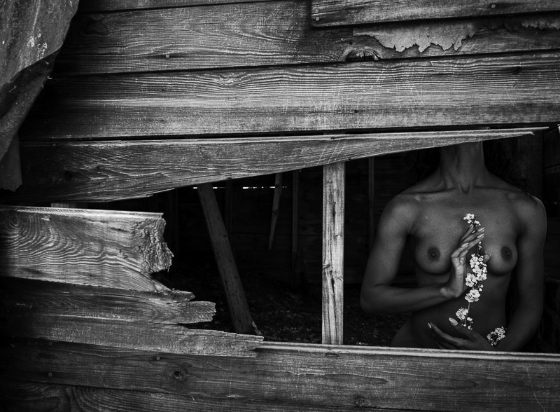 Colorado Nude Photography Workshop